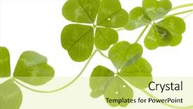  Presentation with four leaf clover - Cool new presentation design with four leaf clovers pattern backdrop and a blonde colored foreground