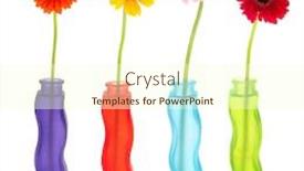  Presentation with modern flowers - Slides with four modern vases with colorful gerber flowers background and a cream colored foreground