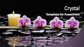  Presentation with orchid - Beautiful theme featuring four orchid with candle backdrop and a black colored foreground