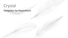  Presentation with pure white - Cool new presentation theme with four pure feathers isolated on white background backdrop and a white colored foreground