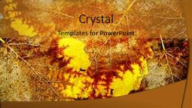 Presentation with dead leaves - Amazing theme having four seasons change - autumn dead leaves background backdrop and a gold colored foreground