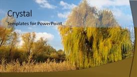  Presentation with four seasons change - Amazing slide deck having four seasons change - autumn leaves in a park backdrop and a  colored foreground