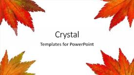  Presentation with four seasons change - Beautiful PPT theme featuring four seasons change - colorful messenger of autumn leaves backdrop and a  colored foreground