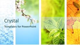  Presentation with summer winter autumn spring - Cool new slide set with four seasons of year set backdrop and a cool aqua colored foreground