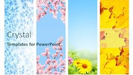  Presentation with four seasons - PPT layouts featuring four-seasons-of-year-set background and a cool aqua colored foreground