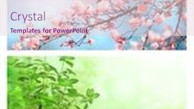  Presentation with summer winter autumn spring - Presentation theme enhanced with four-seasons-of-year-set background and a lemonade colored foreground