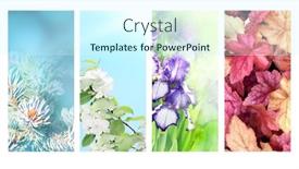  Presentation with summer winter autumn spring - Theme consisting of four-seasons-of-year-set background and a cool aqua colored foreground