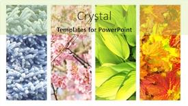  Presentation with summer winter autumn spring - Presentation theme featuring four-seasons-of-year-set background and a yellow colored foreground