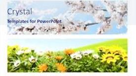  Presentation with summer winter autumn spring - Colorful slide deck enhanced with four-seasons-of-year-set backdrop and a light blue colored foreground