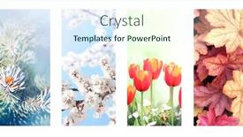  Presentation with summer winter autumn spring - Audience pleasing presentation design consisting of four-seasons-of-year-set backdrop and a sky blue colored foreground