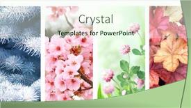  Presentation with four seasons - Slide set enhanced with four-seasons-of-year-set background and a cream colored foreground