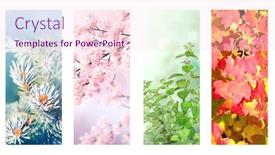  Presentation with summer winter autumn spring - Beautiful slide deck featuring four-seasons-of-year-set backdrop and a lemonade colored foreground