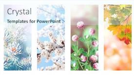  Presentation with summer winter autumn spring - Beautiful slide deck featuring four-seasons-of-year-set backdrop and a sky blue colored foreground