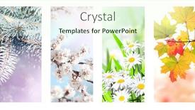  Presentation with summer winter autumn spring - PPT theme consisting of four-seasons-of-year-set background and a cream colored foreground