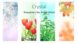  Presentation with summer winter autumn spring - Presentation design consisting of four-seasons-of-year-set background and a cool aqua colored foreground