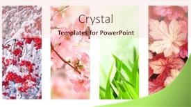  Presentation with summer winter autumn spring - Audience pleasing slide deck consisting of four-seasons-of-year-set backdrop and a lemonade colored foreground