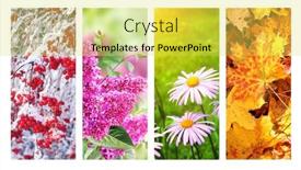  Presentation with summer winter autumn spring - Presentation design featuring four-seasons-of-year-set background and a yellow colored foreground