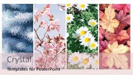  Presentation with summer winter autumn spring - Slide deck with four-seasons-of-year-set background and a lemonade colored foreground