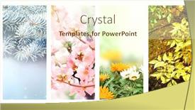  Presentation with summer winter autumn spring - PPT layouts having four-seasons-of-year-set background and a cream colored foreground