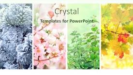  Presentation with four seasons - Presentation with four-seasons-of-year-set background and a soft green colored foreground