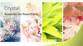  Presentation with summer winter autumn spring - Presentation enhanced with four-seasons-of-year-set background and a blonde colored foreground
