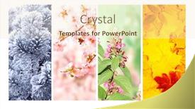  Presentation with summer winter autumn spring - Slide set enhanced with four-seasons-of-year-set background and a lemonade colored foreground