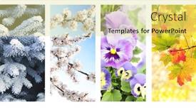  Presentation with summer winter autumn spring - Slides consisting of four-seasons-of-year-set background and a yellow colored foreground