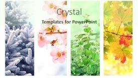  Presentation with summer winter autumn spring - Slide deck enhanced with four-seasons-of-year-set background and a soft green colored foreground