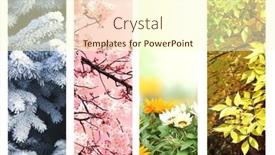  Presentation with four seasons - Presentation theme enhanced with four-seasons-of-year-set background and a  colored foreground