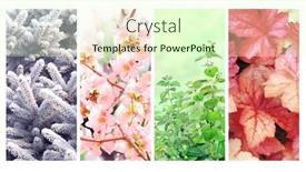 Presentation with summer winter autumn spring - Slide deck featuring four-seasons-of-year-set background and a soft green colored foreground
