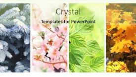  Presentation with four seasons - Slides with four-seasons-of-year-set background and a  colored foreground