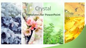  Presentation with summer winter autumn spring - Presentation theme enhanced with four-seasons-of-year-set background and a soft green colored foreground
