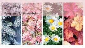  Presentation with four seasons - Slide set with four-seasons-of-year-set background and a lemonade colored foreground