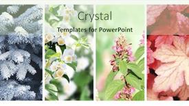  Presentation with summer winter autumn spring - Slides consisting of four-seasons-of-year-set background and a soft green colored foreground