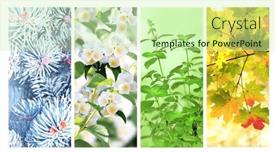  Presentation with summer winter autumn spring - Slide deck consisting of four-seasons-of-year-set background and a soft green colored foreground