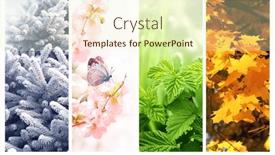  Presentation with summer winter autumn spring - Presentation consisting of four-seasons-of-year-set background and a  colored foreground