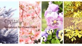  Presentation with summer winter autumn spring - Slide deck featuring four-seasons-of-year-set background and a lemonade colored foreground