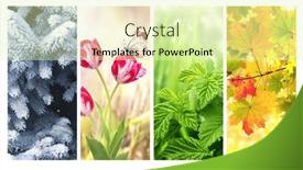  Presentation with summer winter autumn spring - Presentation theme with four-seasons-of-year-set background and a soft green colored foreground