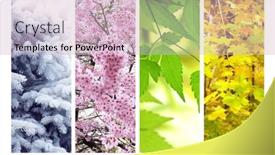  Presentation with summer winter autumn spring - Presentation theme with four-seasons-of-year-set background and a soft green colored foreground