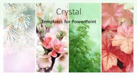  Presentation with summer winter autumn spring - Slide deck with four-seasons-of-year-set background and a soft green colored foreground