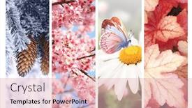  Presentation with summer winter autumn spring - Slide set consisting of four-seasons-of-year-set background and a lemonade colored foreground