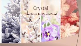  Presentation with summer winter autumn spring - Presentation theme consisting of four-seasons-of-year-set background and a lemonade colored foreground