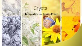  Presentation with summer winter autumn spring - PPT theme featuring four-seasons-of-year-set background and a blonde colored foreground