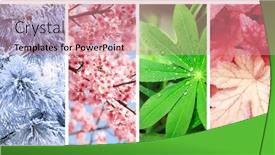  Presentation with summer winter autumn spring - PPT layouts consisting of four-seasons-of-year-set background and a coral colored foreground
