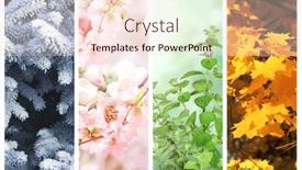  Presentation with summer winter autumn spring - Presentation design having four-seasons-of-year-set background and a  colored foreground