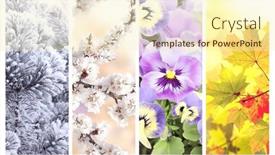  Presentation with summer winter autumn spring - Presentation theme having four-seasons-of-year-set background and a cream colored foreground