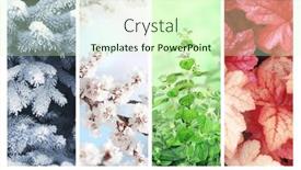  Presentation with summer winter autumn spring - Presentation design with four-seasons-of-year-set and a soft green colored foreground