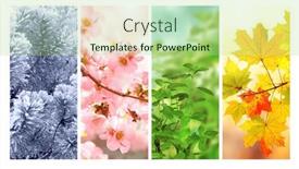  Presentation with summer winter autumn spring - Slides enhanced with four-seasons-of-year-set and a mint green colored foreground