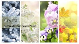  Presentation with summer winter autumn spring - Presentation featuring four-seasons-of-year-set and a soft green colored foreground
