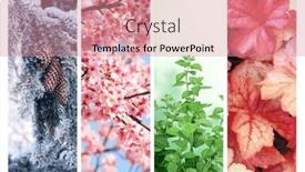  Presentation with summer winter autumn spring - Presentation theme enhanced with four-seasons-of-year-set and a coral colored foreground